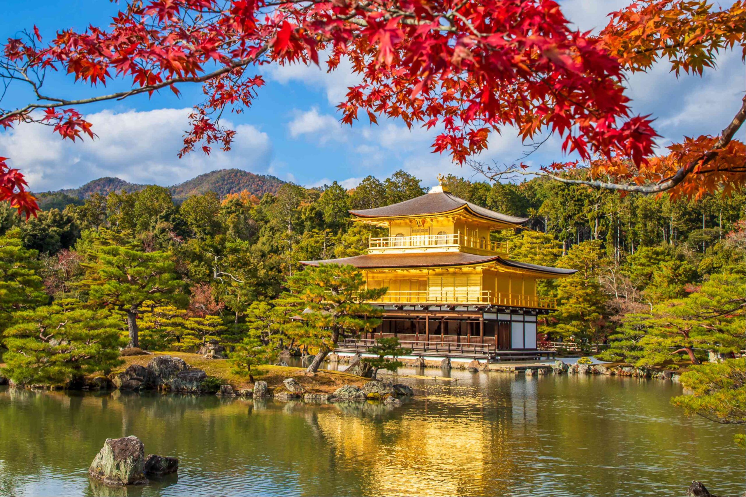 京都で相続税申告をお考えの方