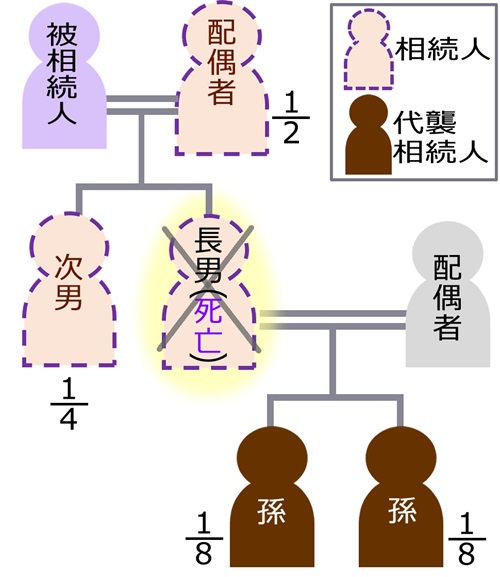 孫が代襲相続する場合の法定相続分